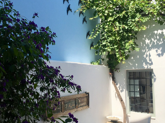 海利奥托帕酒店主图