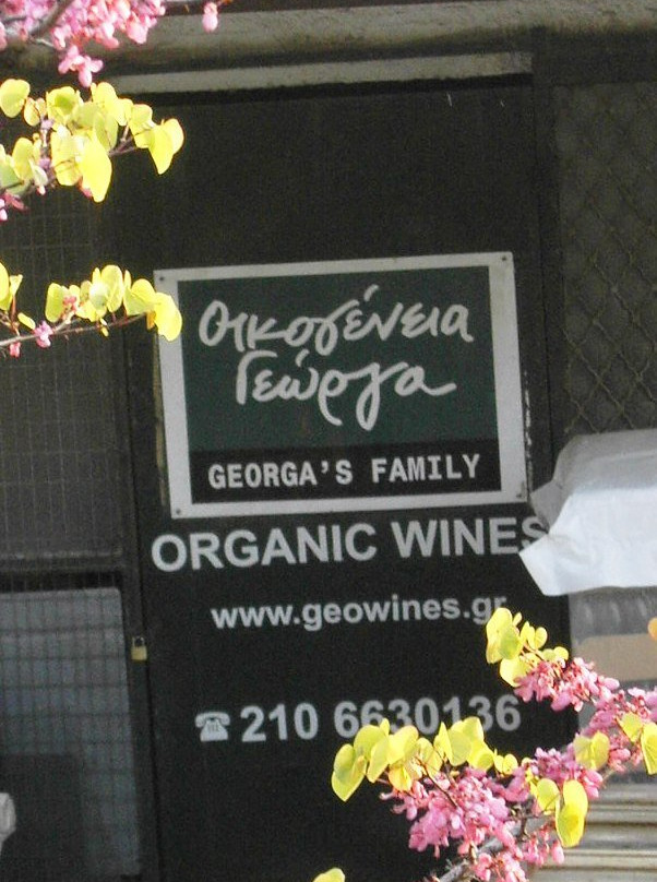 Georga΄s Family-斯巴达必去景点