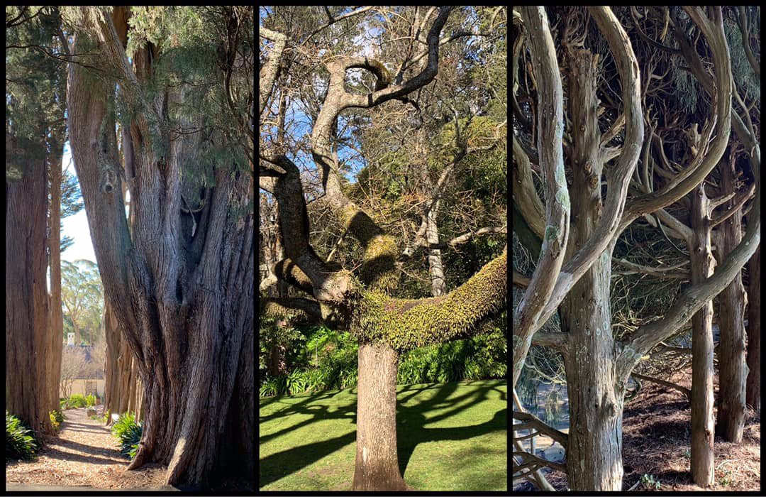 Milton Park Country House Hotel & Spa主图