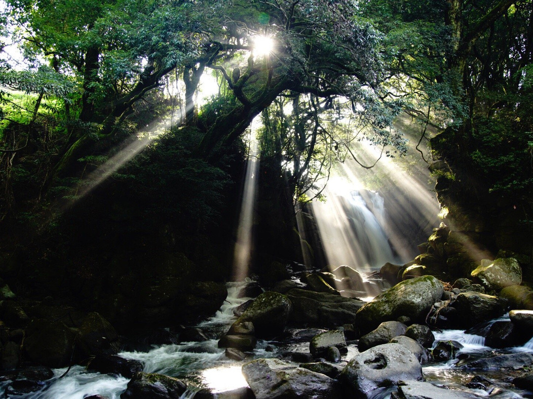 Meotodaki Falls景点图片