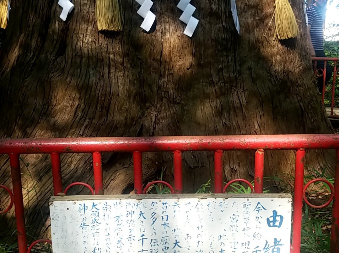 Makata Shrine-成田市必去景点