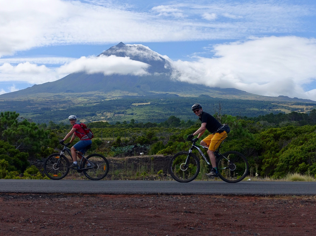 Pico447 Bike & Scooter Rental-Madalena必去景点