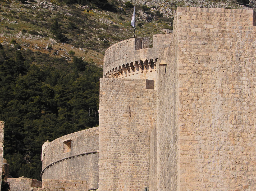 Minceta Fortress景点图片