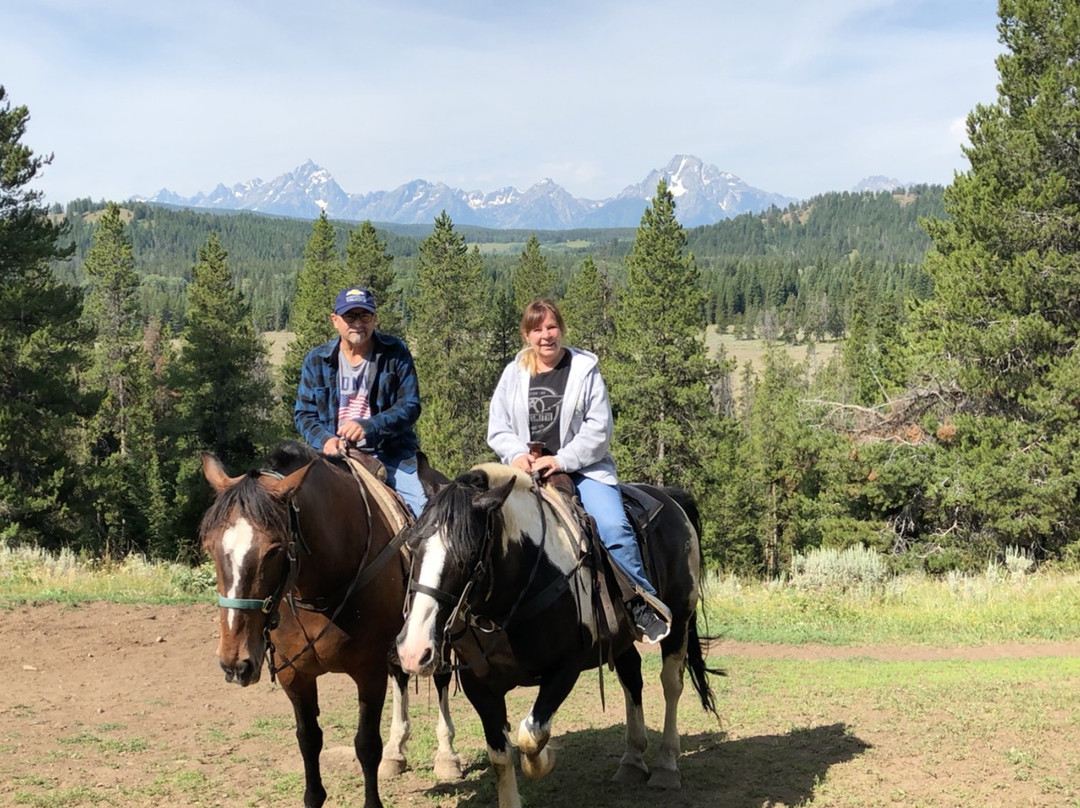 Swift Creek Outfitters & Teton Horseback Adventures景点图片