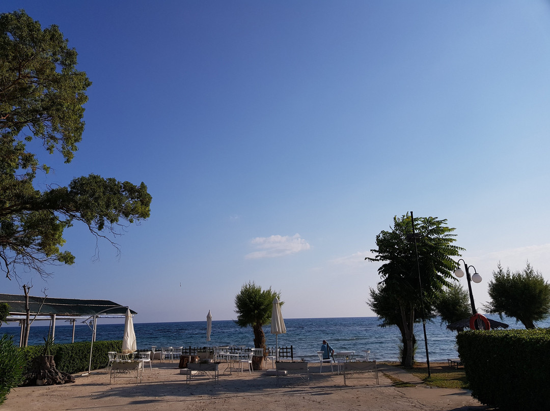 Mimoza Beach Bar-Argassi必去景点