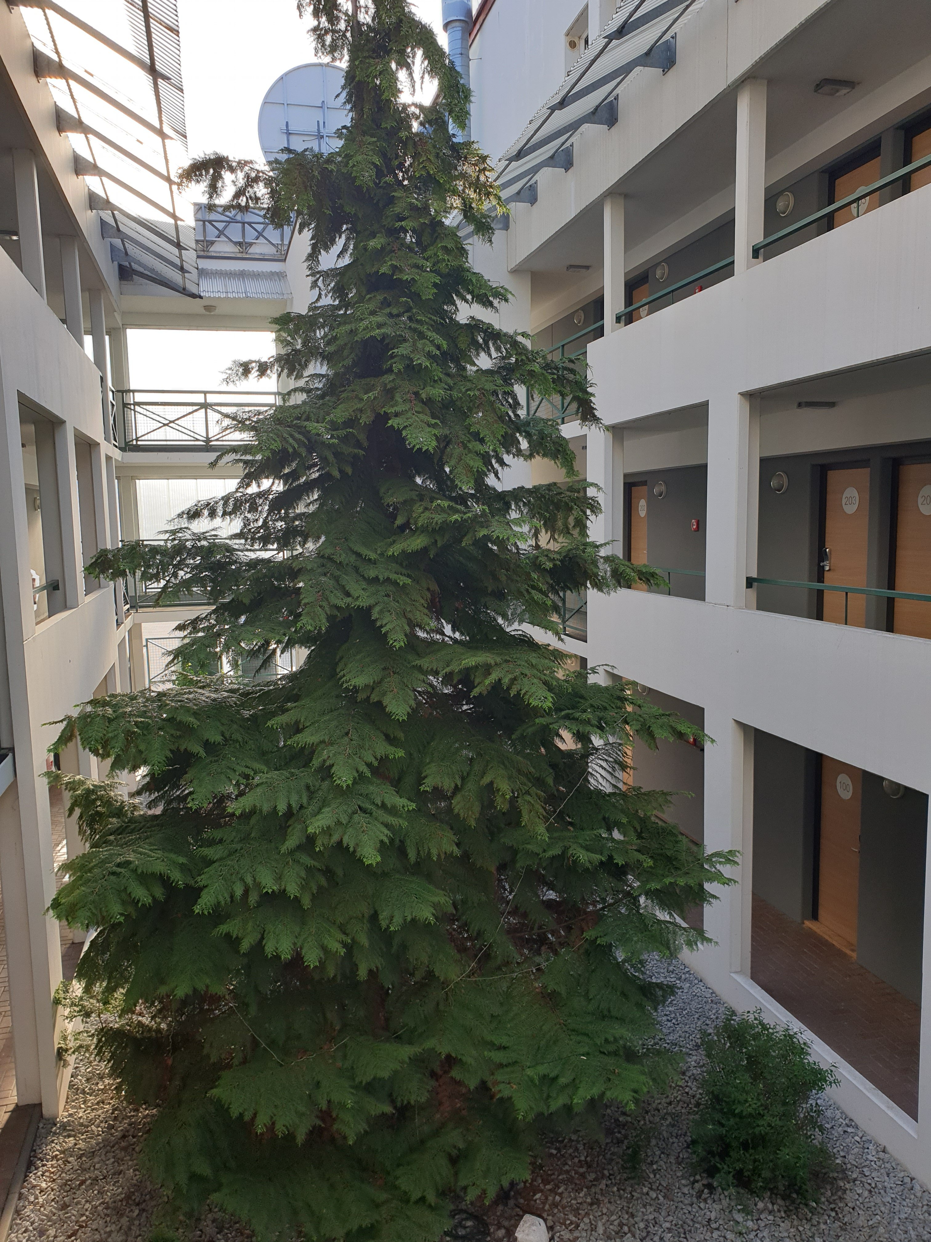 B&b Hotel Berlin Genshagen-süd-浴室