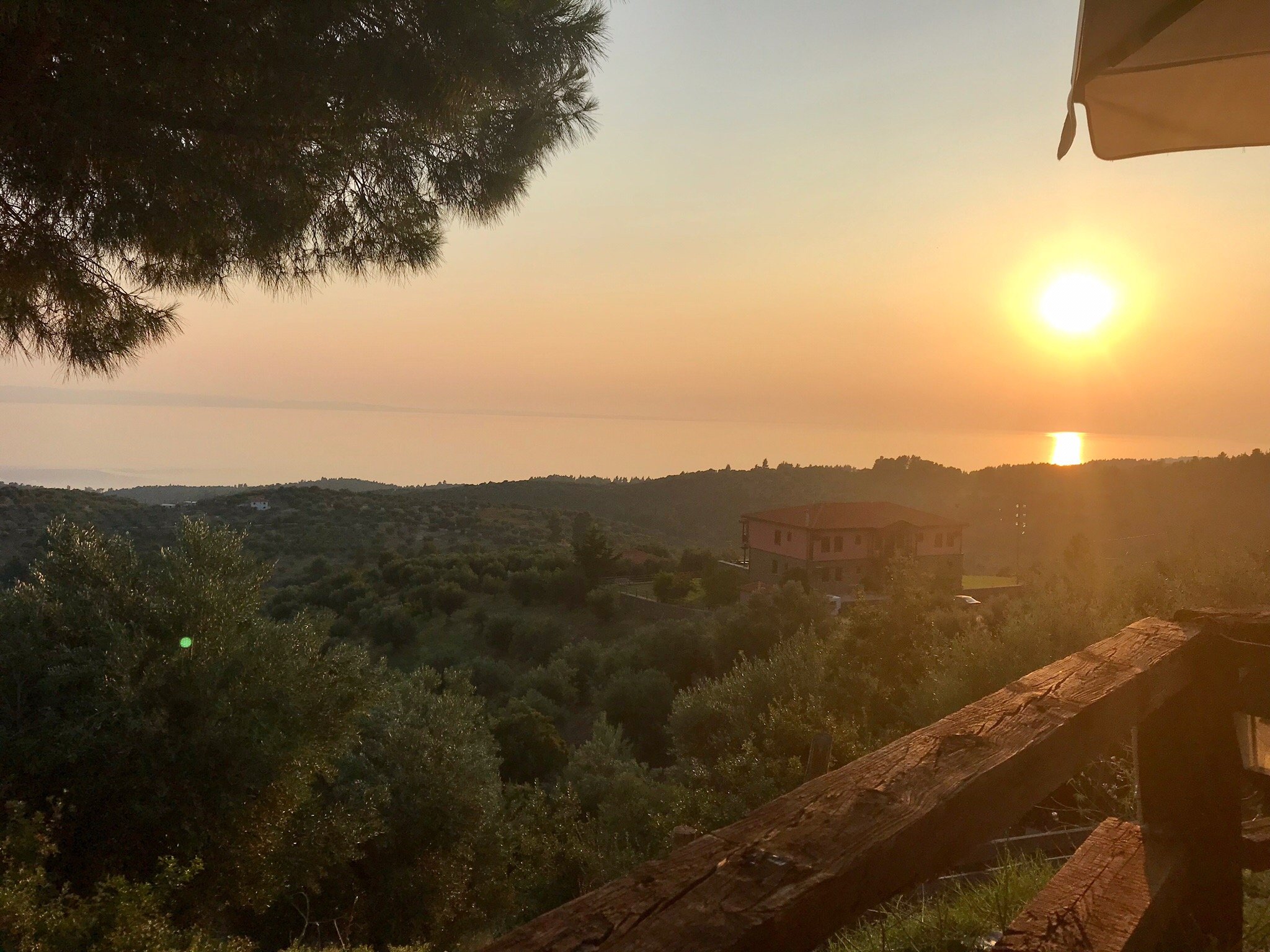 Parthenon Guest House-官方