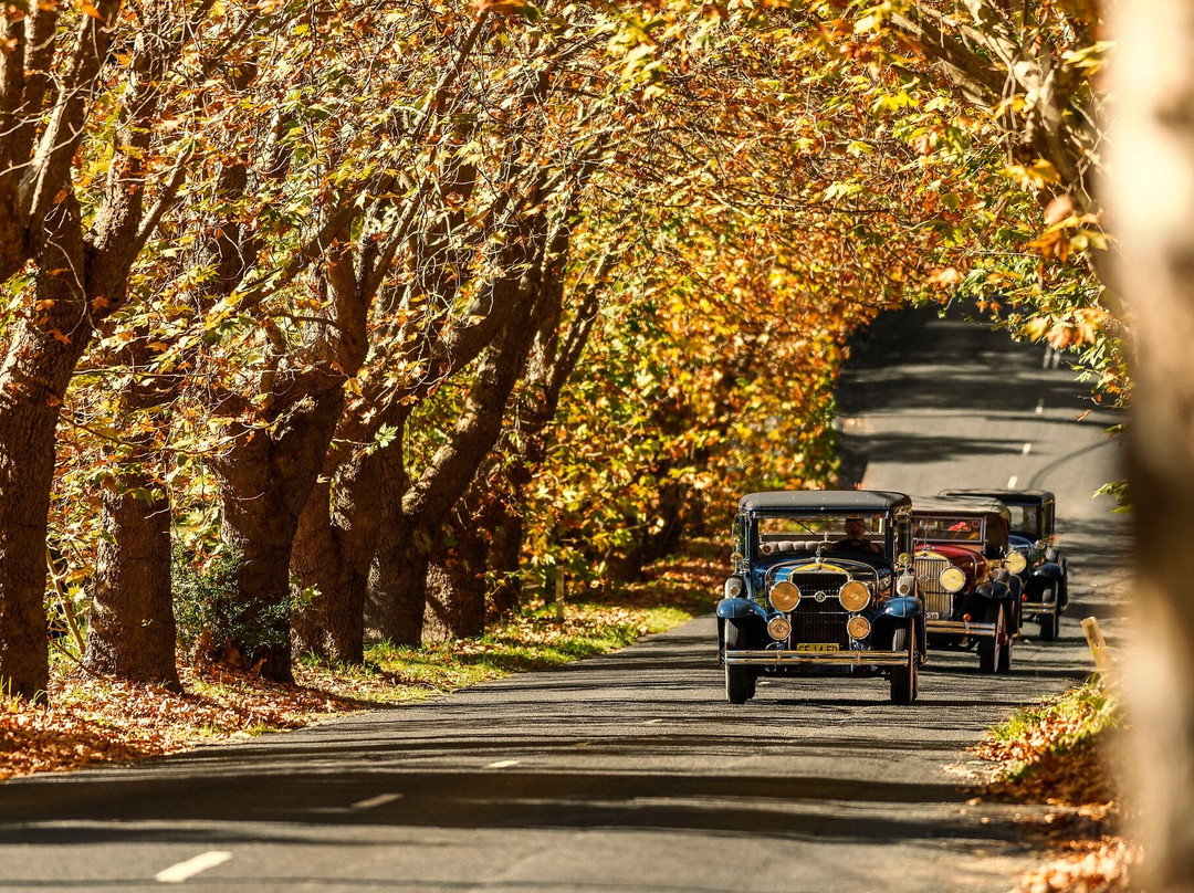 Blue Mountains Limousine景点图片