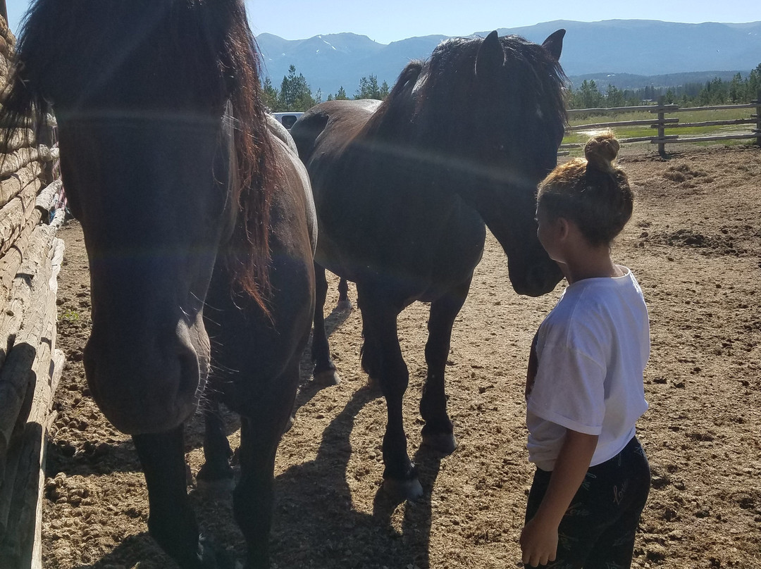 Dashing Thru The Snow-Fraser必去景点