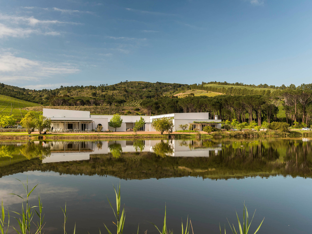 西索美塞旅游景点-Morgenster Wine Farm and Olive Estate