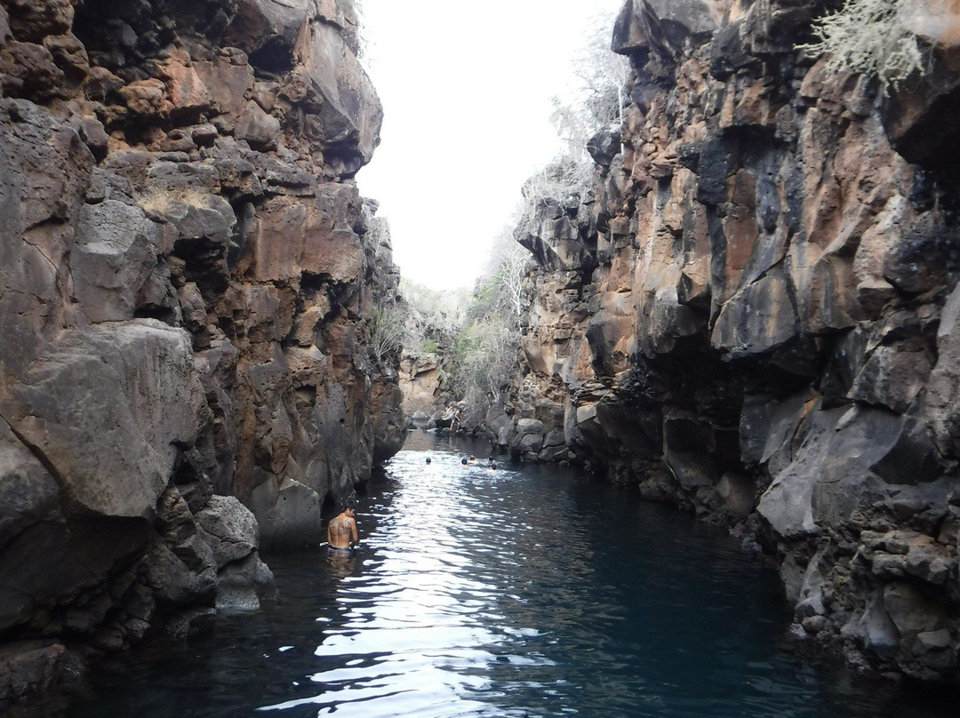 拉巴哥群岛海水泳池景点图片