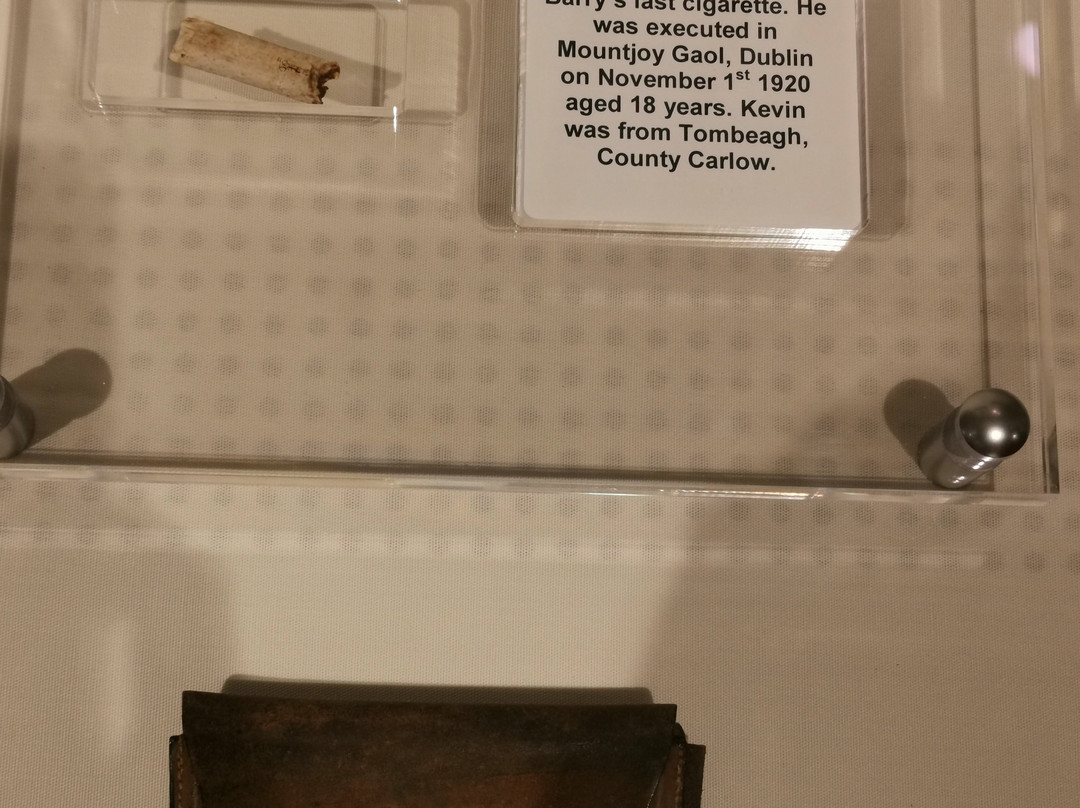 Carlow County Museum景点图片