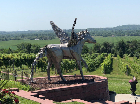 Soaring Wings Vineyard-Springfield必去景点