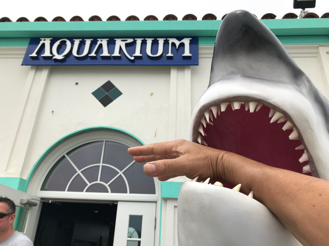 Roundhouse Marine Studies Lab and Aquarium-曼哈顿海滩必去景点