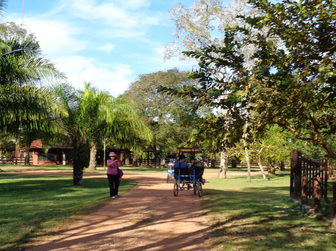 Hotel Sesc Porto Cercado主图