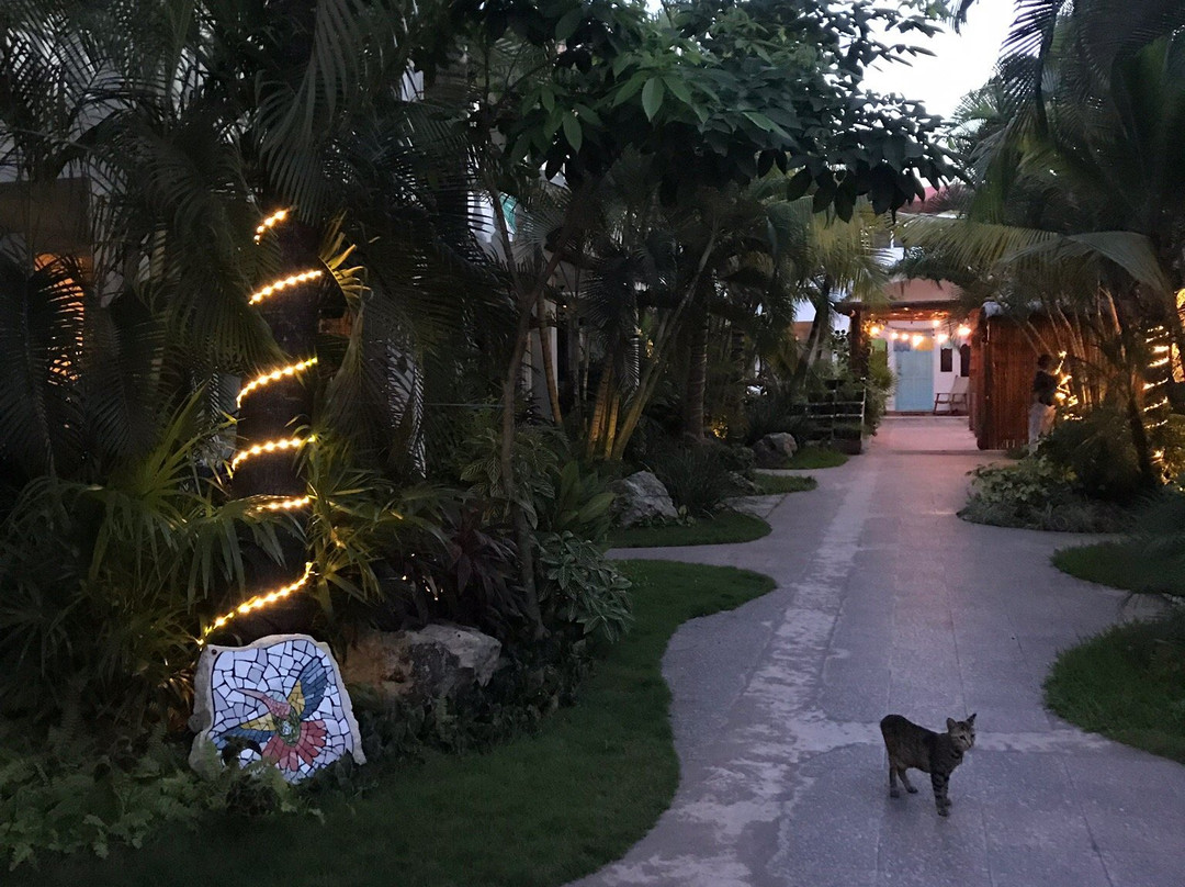 酒店Villas Colibrí套房和平房