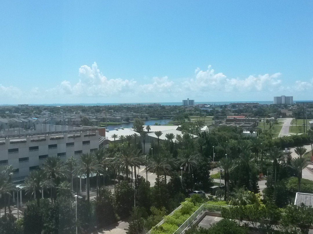 Moody Gardens Hotel, Spa And Convention Center主图