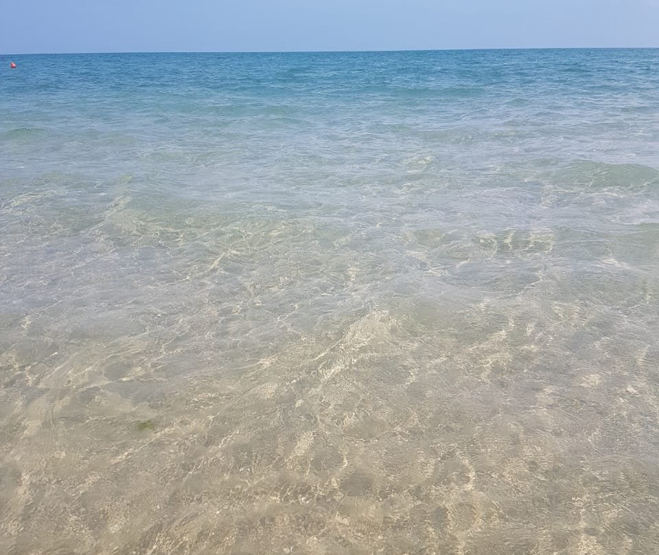 Hotel Kristel Park主图