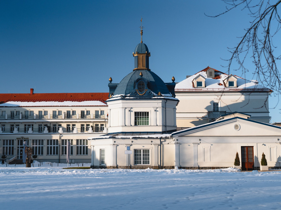 Hotel ROYAL PALACE主图