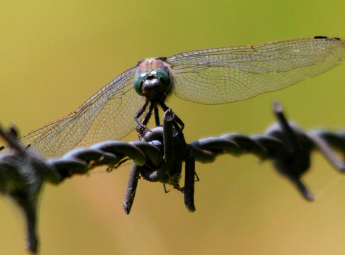 Marais du Grand Hazé-Briouze必去景点