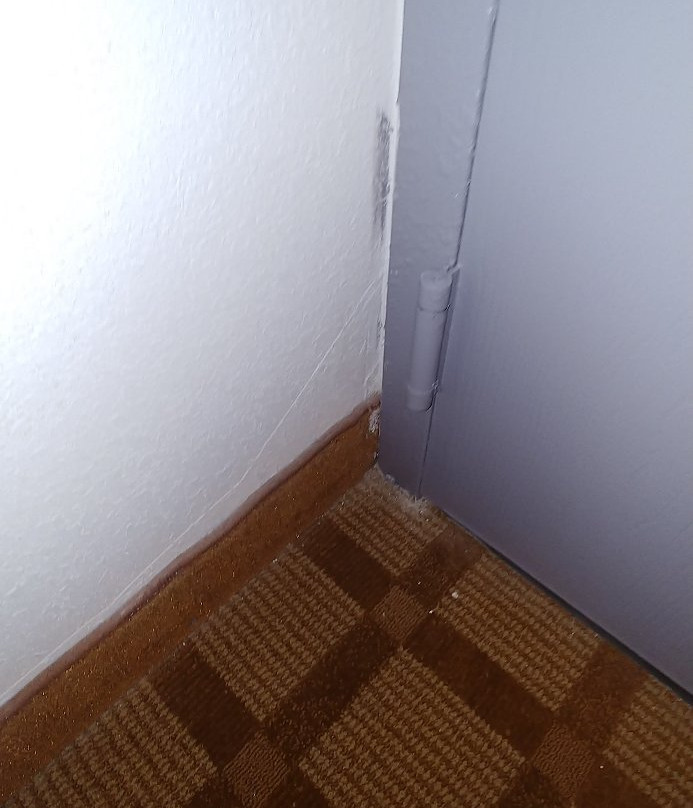 Quality Inn & Suites Watertown Fort Drum主图