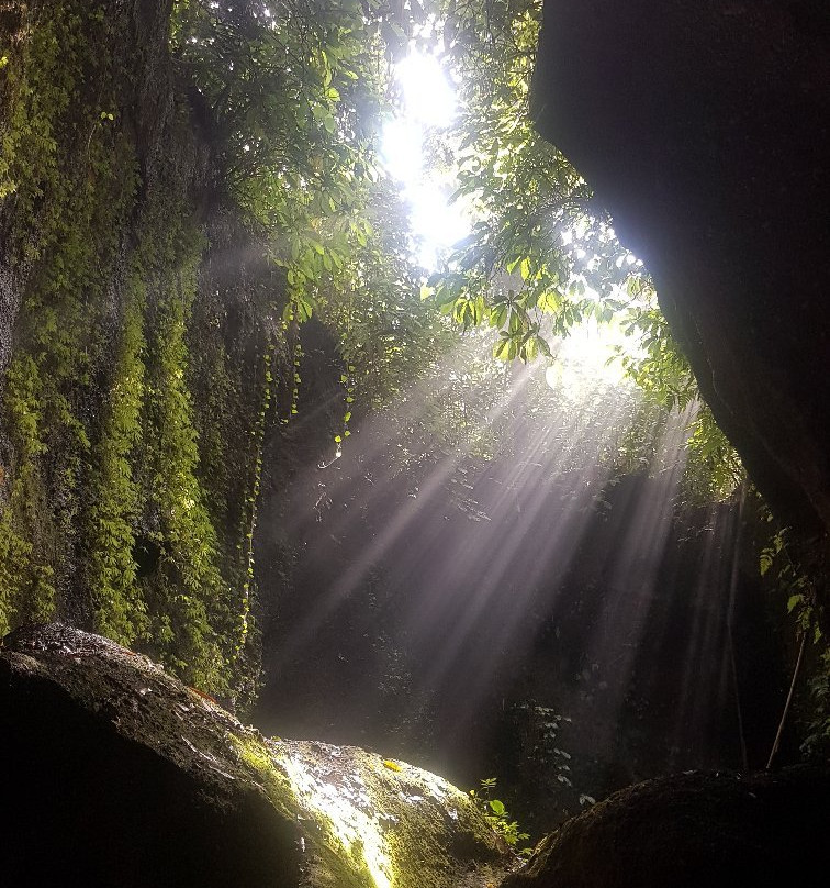 Bali Wonders景点图片