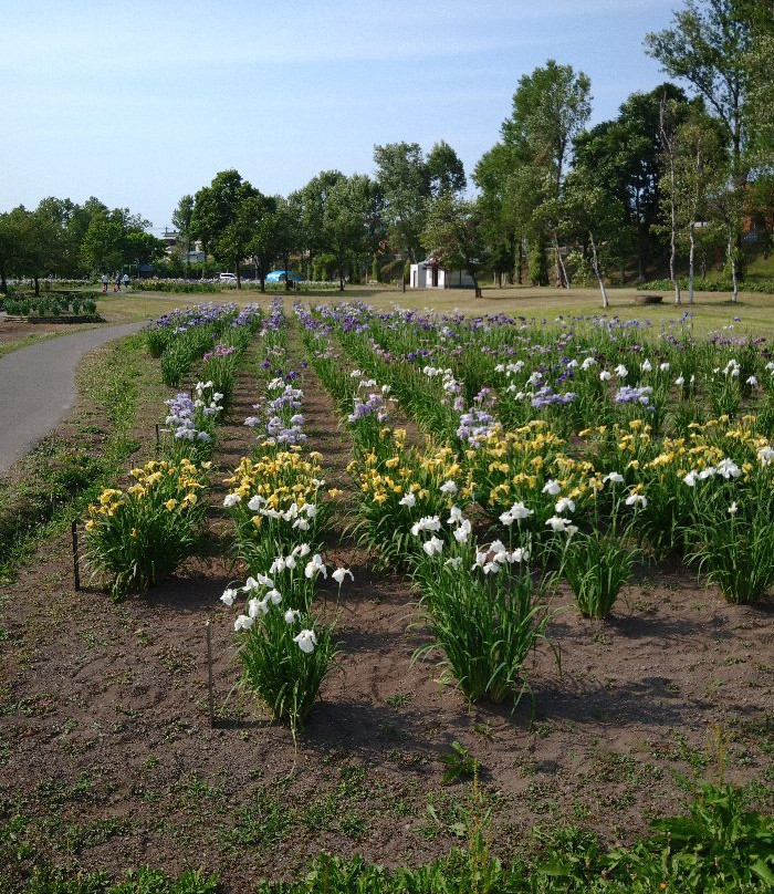 Ayame Park Fureaikan-岩见泽市必去景点