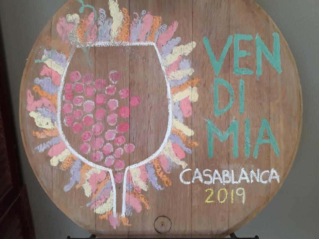 Bodegas Re-卡萨布兰卡必去景点