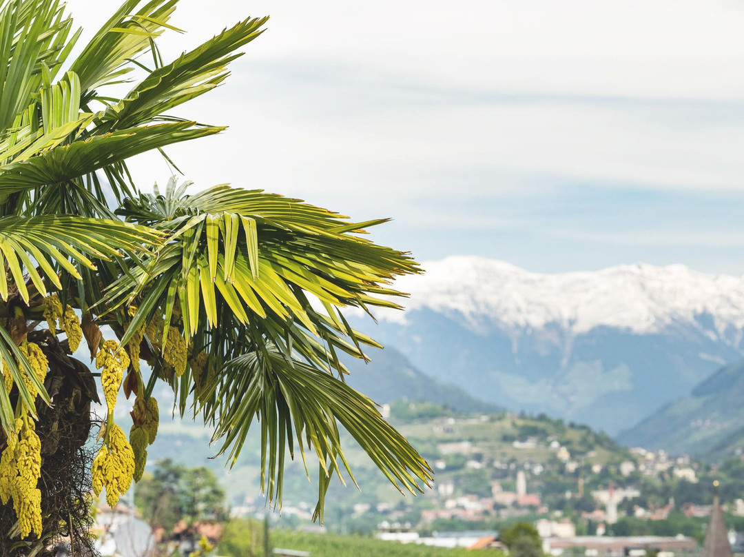 Paulus Coffee & Rooms主图