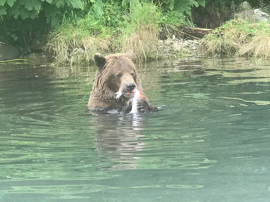 Ursus Alaska-索尔多特纳必去景点