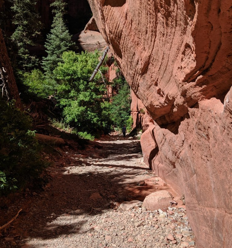 Taylor Creek-锡安国家公园必去景点