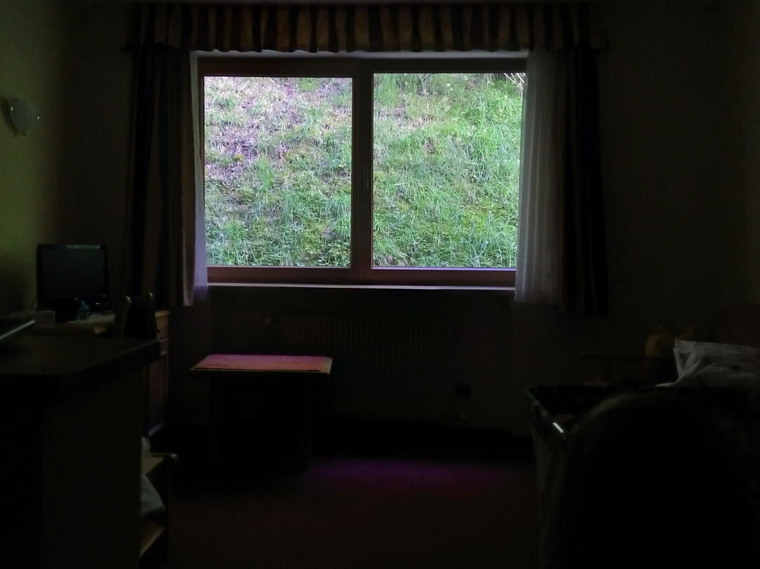 Hotel Kranebitt主图