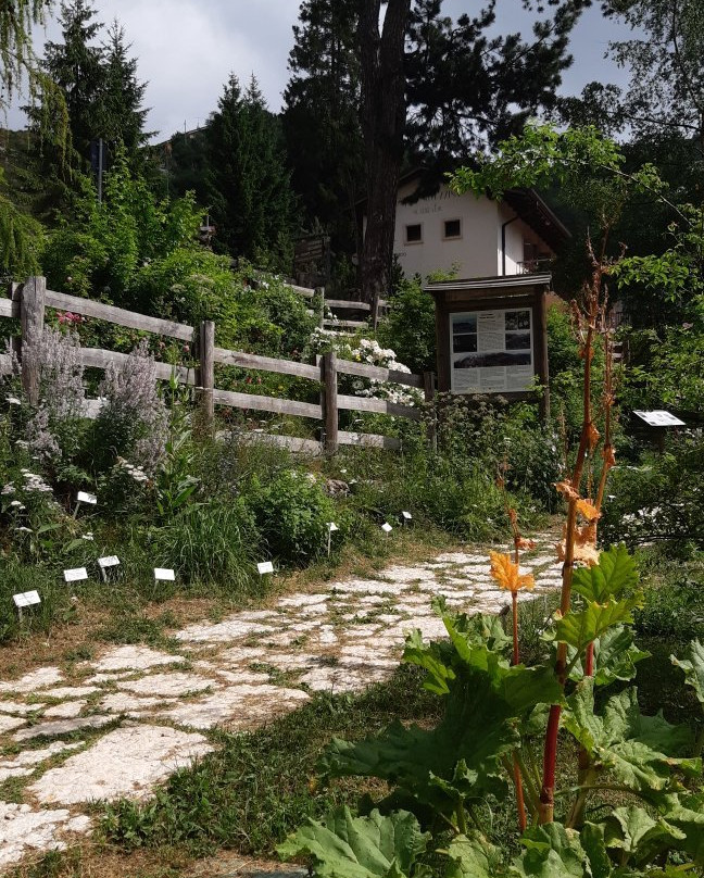 Orto Botanico di Novezzina-Ferrara di Monte Baldo必去景点