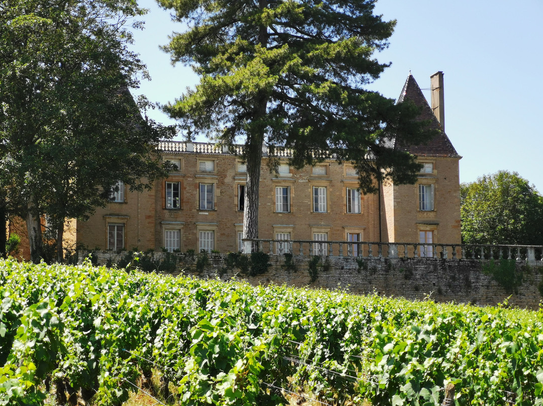 Château de Vinzelles景点图片
