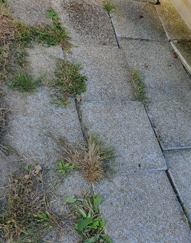 Tresse旅游攻略图片