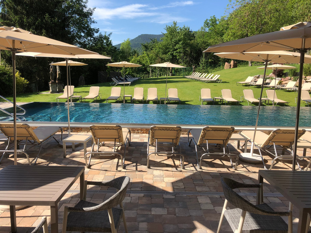 Hostellerie des Chateaux & Spa主图