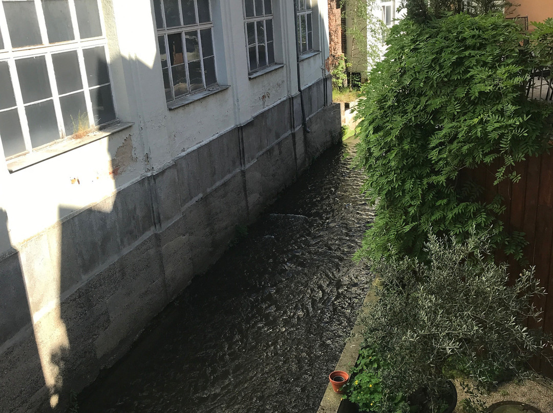 Hotel Steiger Sebnitzer Hof - Adults only主图