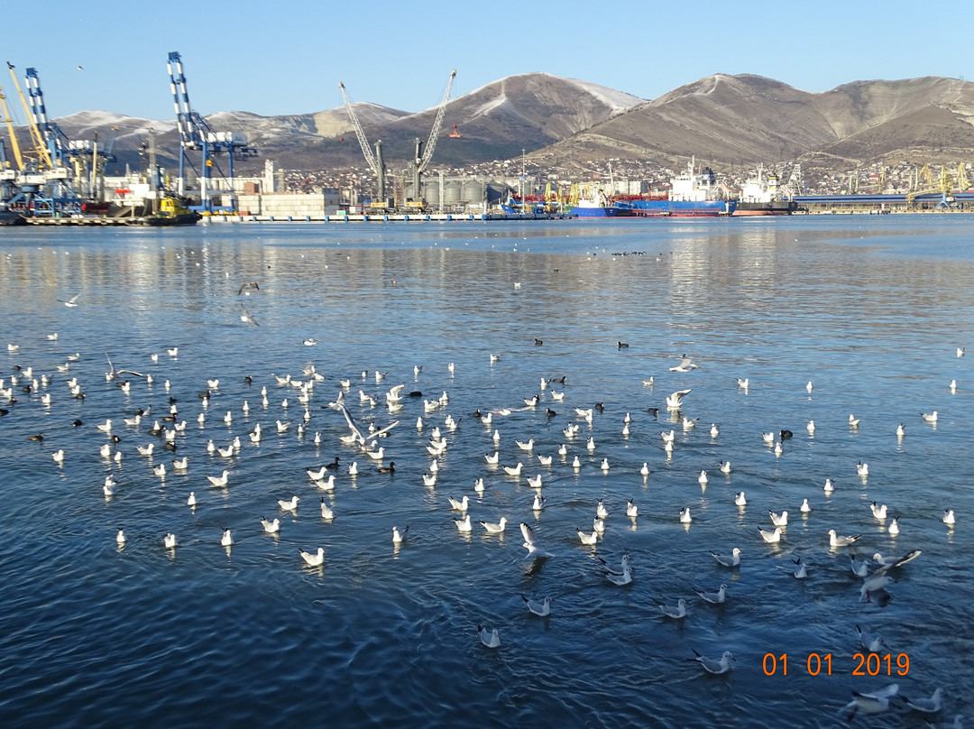 Embankment of Admiral Serebryakov景点图片