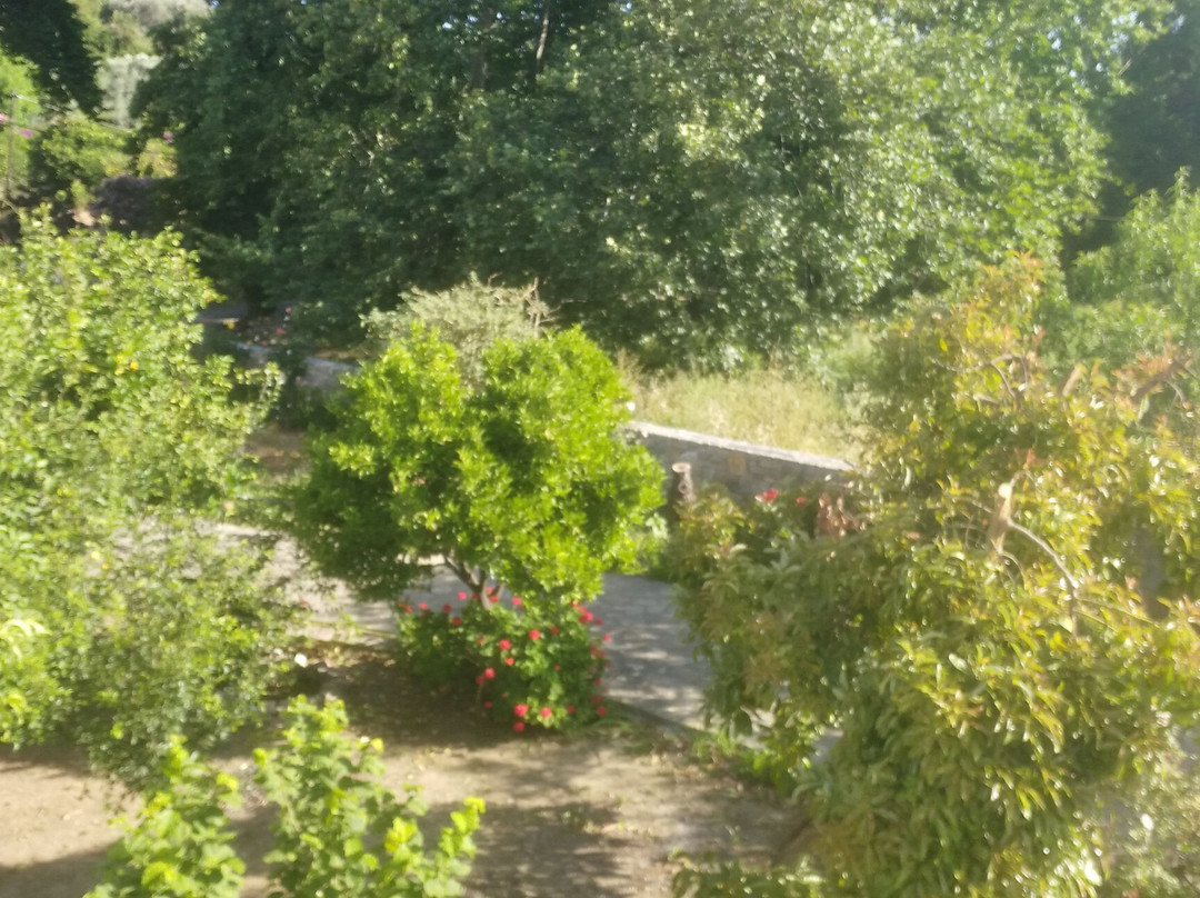 Alekos Rooms and Apartments主图