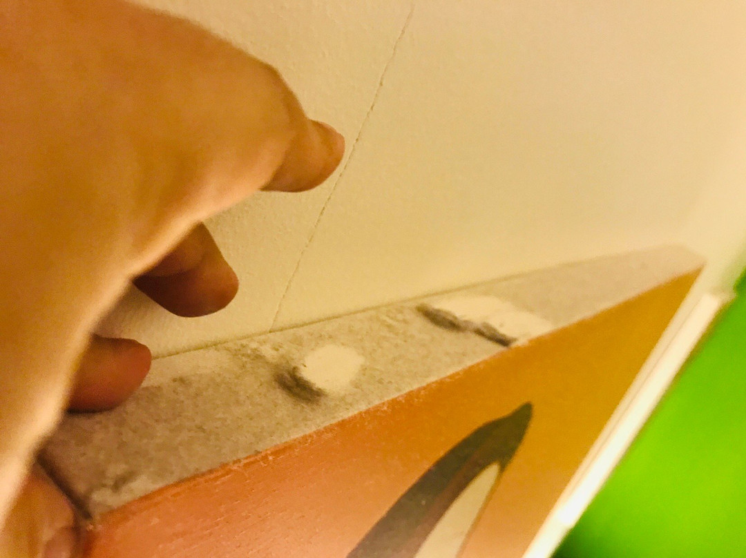 布莱顿酒店和住宿主图