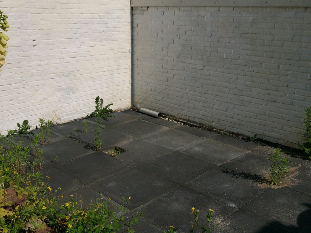 Bed and Breakfast Mya主图