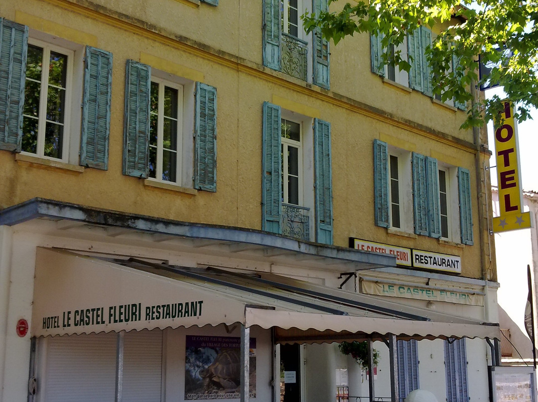 Hotel Restaurant Le Castel Fleuri主图