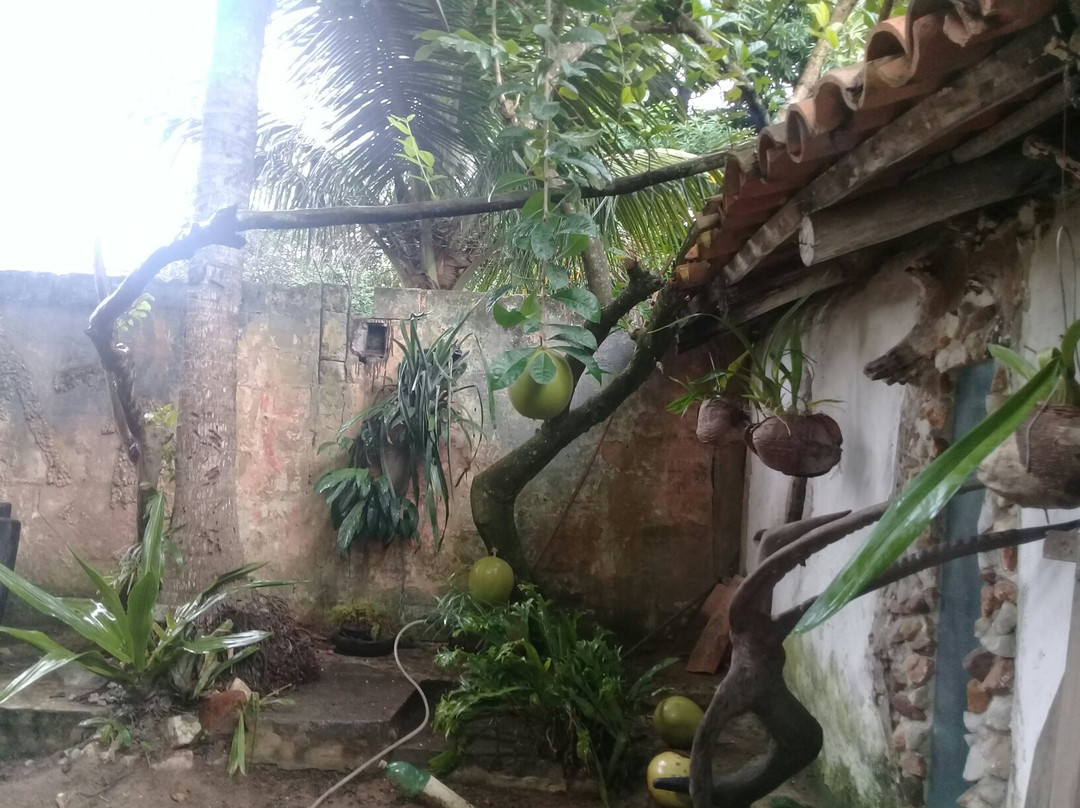 Stone House景点图片
