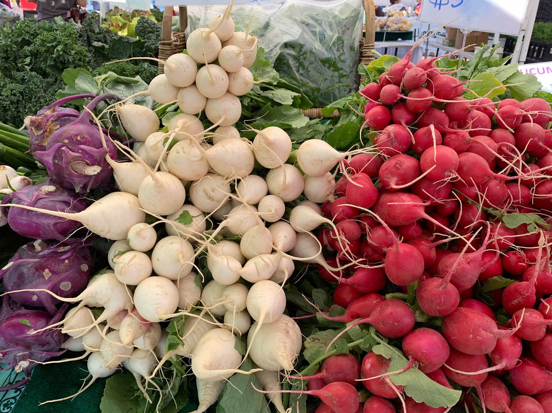 Boise Farmers Market-博伊西必去景点