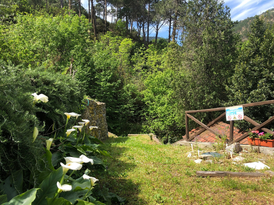 B&B Casale Coreallo主图