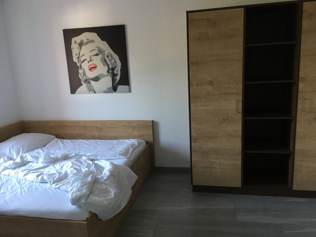 Wels Inn Hotel主图