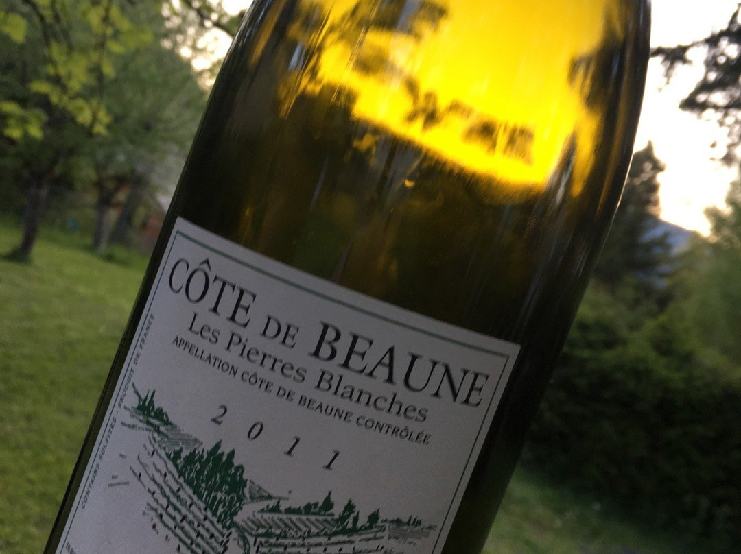 Domaine Emmanuel Giboulot景点图片