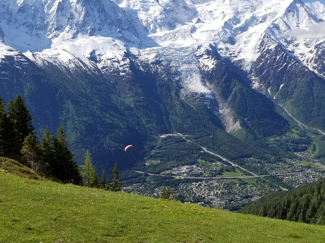 Les Ailes du Mont Blanc景点图片