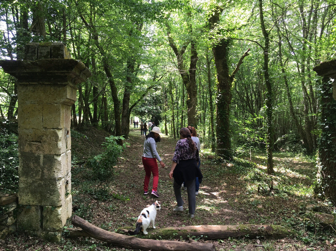 Chateau Charbontiere主图