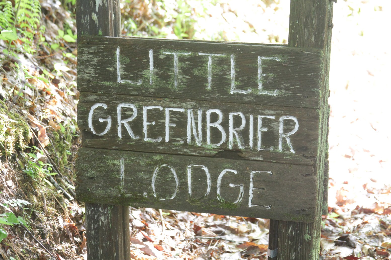 Little Greenbrier Lodge-官方